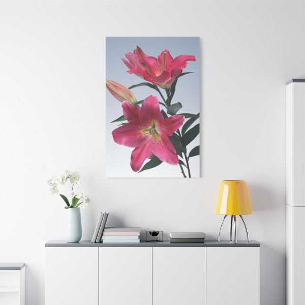 Pink Tiger Lily Standard Canvas