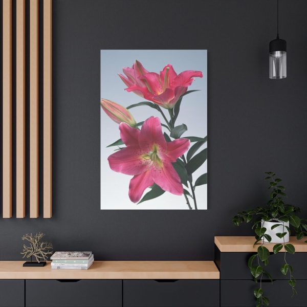 Pink Tiger Lily Standard Canvas