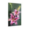 Beautiful Lily Standard Canvas
