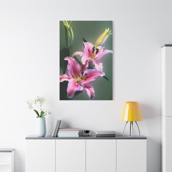 Beautiful Lily Standard Canvas