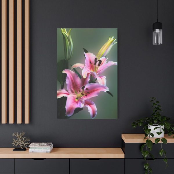 Beautiful Lily Standard Canvas