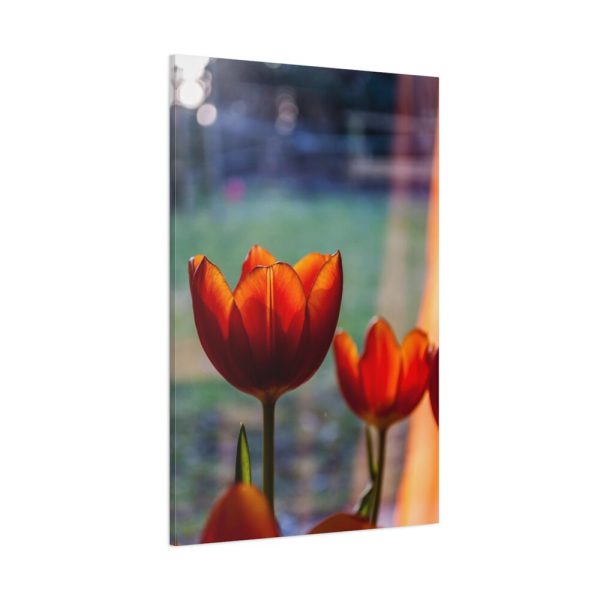 Spring Standard Canvas