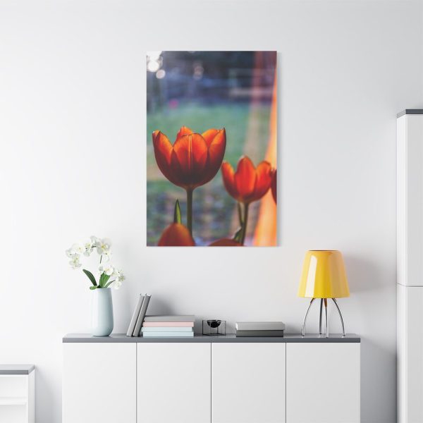 Spring Standard Canvas