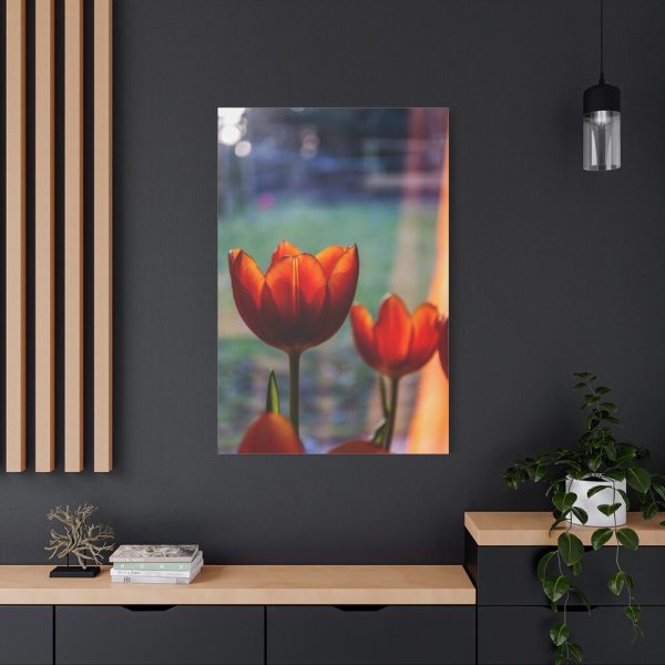 Spring Standard Canvas