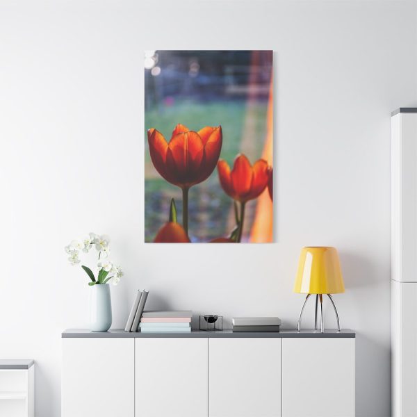 91655-66.jpg Spring Framed Canvas