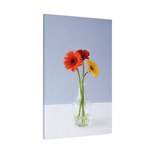 Three Daisies Standard Canvas