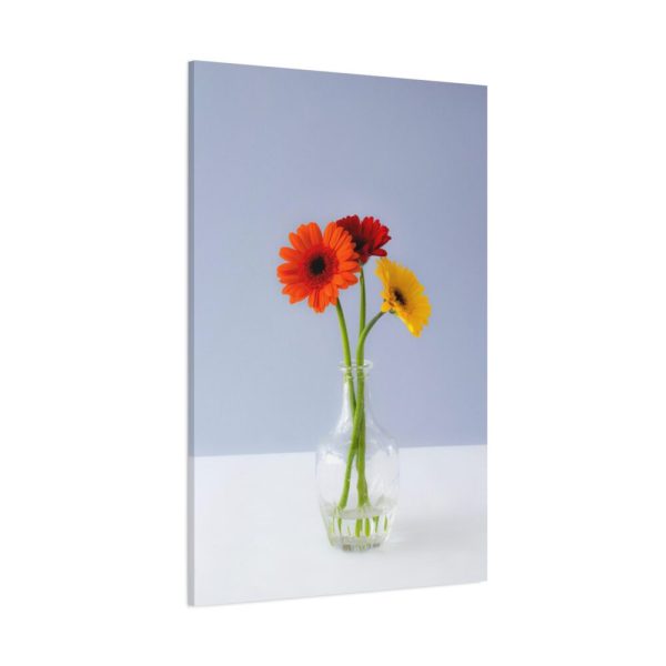 Three Daisies Standard Canvas