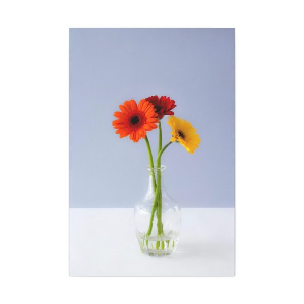 Three Daisies Standard Canvas