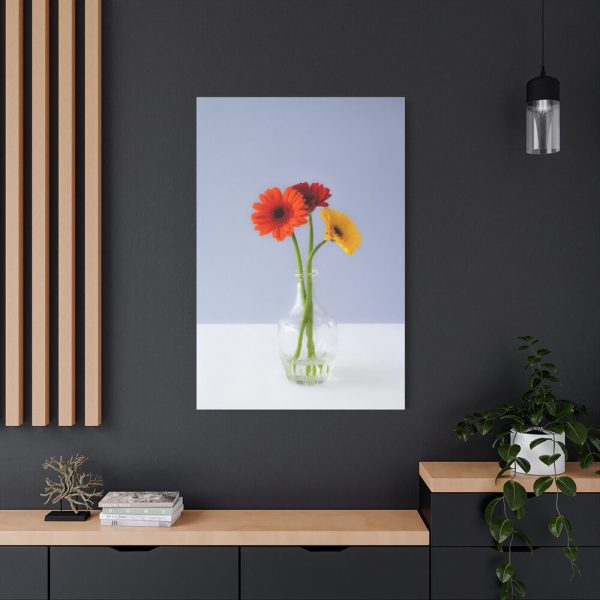 Three Daisies Standard Canvas