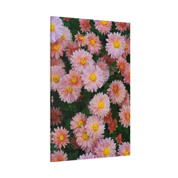 91655-73.jpg Beautiful Pink Flowers Standard Canvas