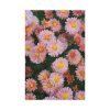 91655-74.jpg Beautiful Pink Flowers Standard Canvas