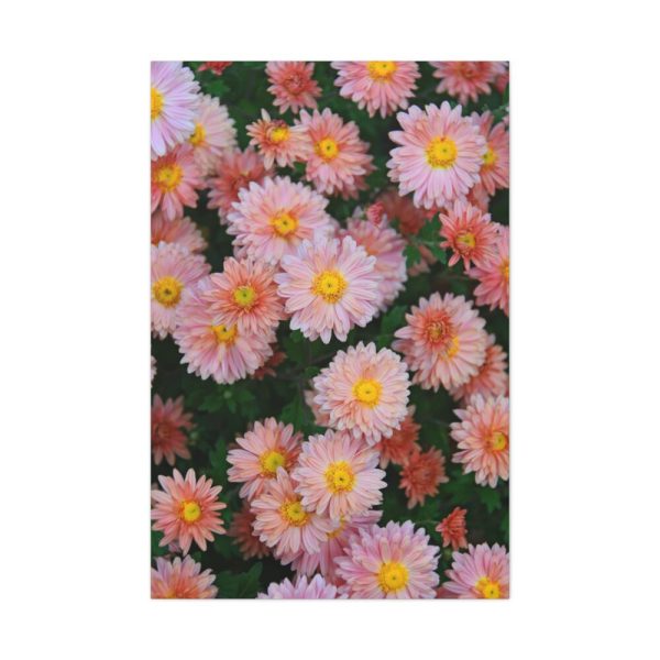 91655-74.jpg Beautiful Pink Flowers Standard Canvas