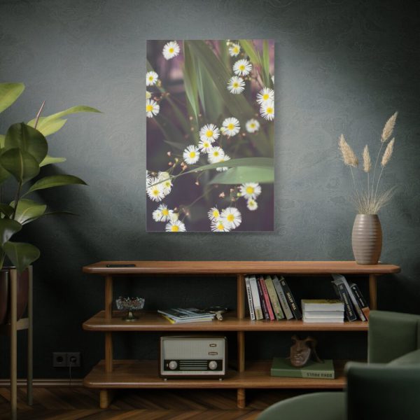 91655-82.jpg Tiny White Daisy Flowers Standard Canvas