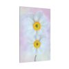 91655-83.jpg Two White Beautiful Flowers Standard Canvas