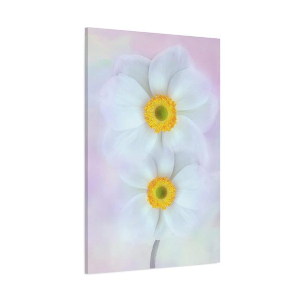 91655-83.jpg Two White Beautiful Flowers Standard Canvas