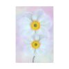 91655-84.jpg Two White Beautiful Flowers Standard Canvas