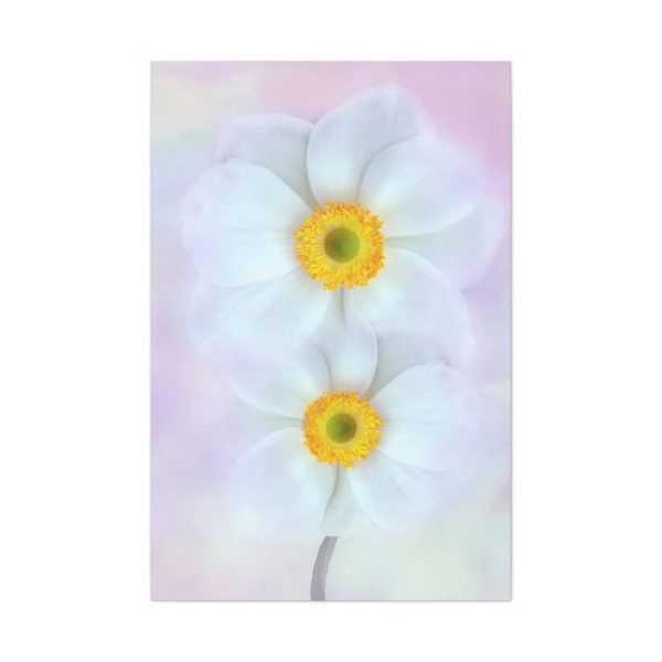 91655-84.jpg Two White Beautiful Flowers Standard Canvas