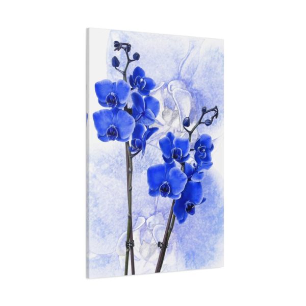 Phalaenopsis Orchid Flower Standard Canvas
