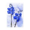 Phalaenopsis Orchid Flower Standard Canvas