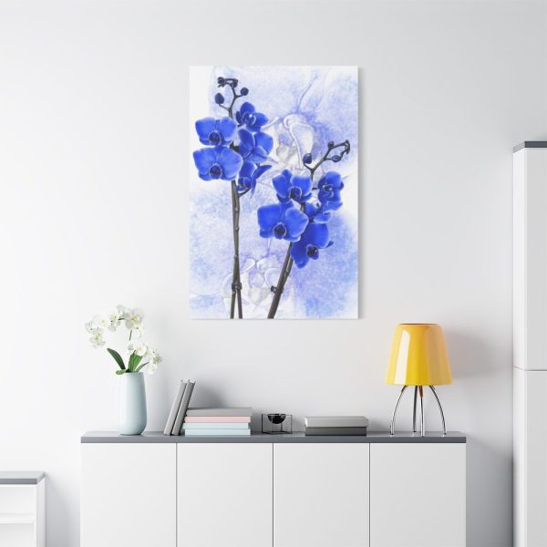 Phalaenopsis Orchid Flower Standard Canvas