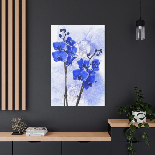 Phalaenopsis Orchid Flower Standard Canvas
