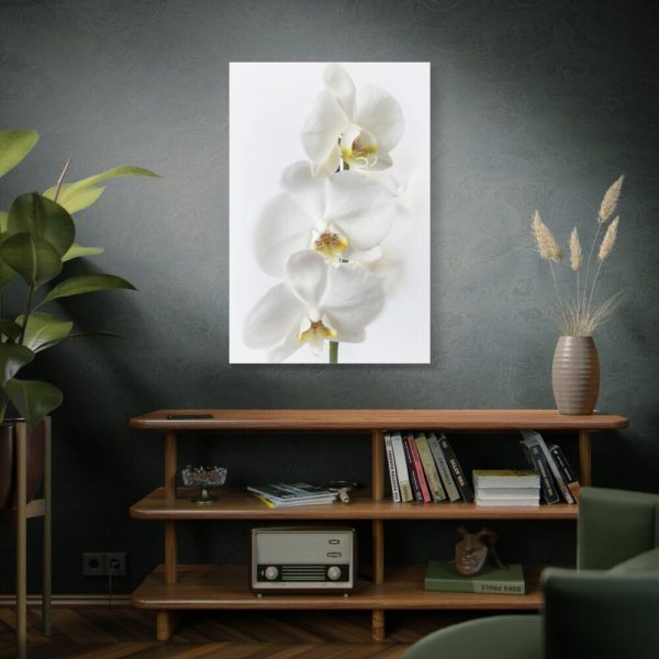 91655-97.jpg White Orchid Standard Canvas