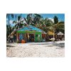92370-9.jpg Tropical Dominican Republic Poster