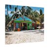92373-11.jpg Tropical Dominican Republic Poster