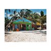 92374-9.jpg Tropical Dominican Republic Poster