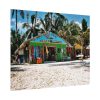 92378-11.jpg Tropical Dominican Republic Poster
