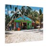 92379-11.jpg Tropical Dominican Republic Poster