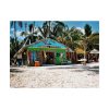 92381-9.jpg Tropical Dominican Republic Poster