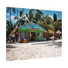 92384-11.jpg Tropical Dominican Republic Poster