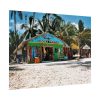 92385-11.jpg Tropical Dominican Republic Poster