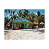 92385-9.jpg Tropical Dominican Republic Poster