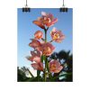 Pink Orchid Flowers Poster