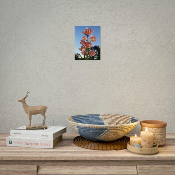 Pink Orchid Flowers Poster