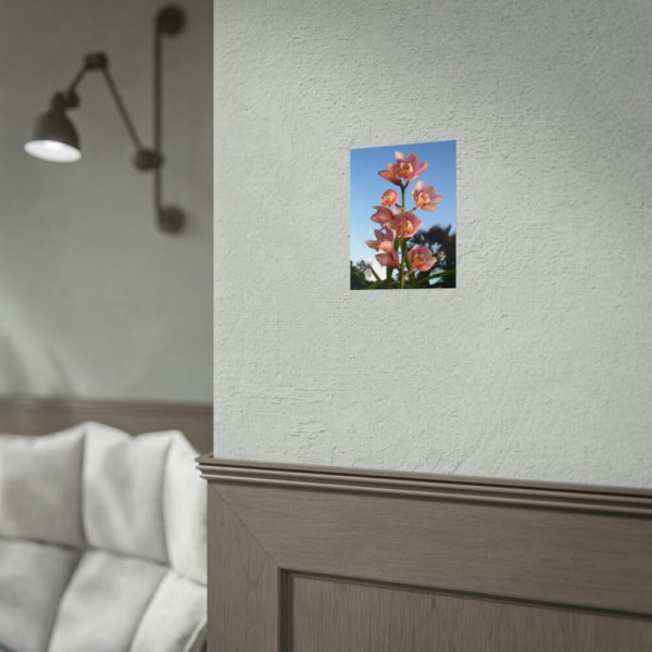 Pink Orchid Flowers Poster