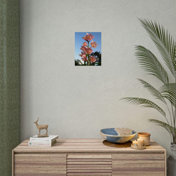 Pink Orchid Flowers Poster