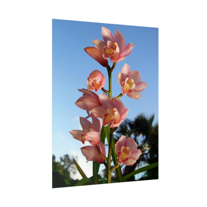Pink Orchid Flowers Poster - Image 68