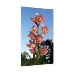 Pink Orchid Flowers Poster - Image 128
