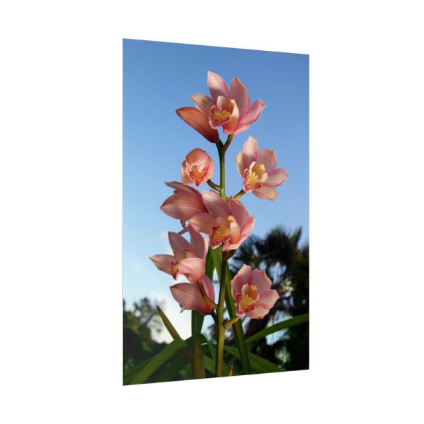 Pink Orchid Flowers Poster