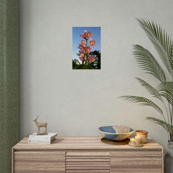 Pink Orchid Flowers Poster