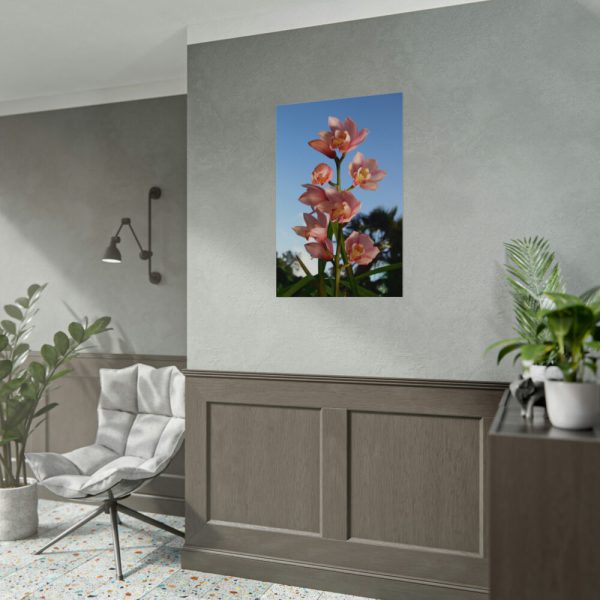 Pink Orchid Flowers Poster