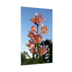 Pink Orchid Flowers Poster - Image 263
