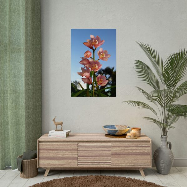 Pink Orchid Flowers Poster