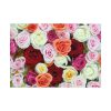 92408-108.jpg Colorful Roses Poster
