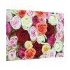 92408-110.jpg Colorful Roses Poster