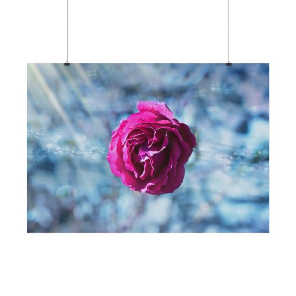 92408-121.jpg Garden Roses Poster