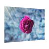 92408-122.jpg Garden Roses Poster